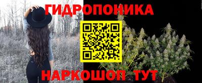 дурь Гатчина